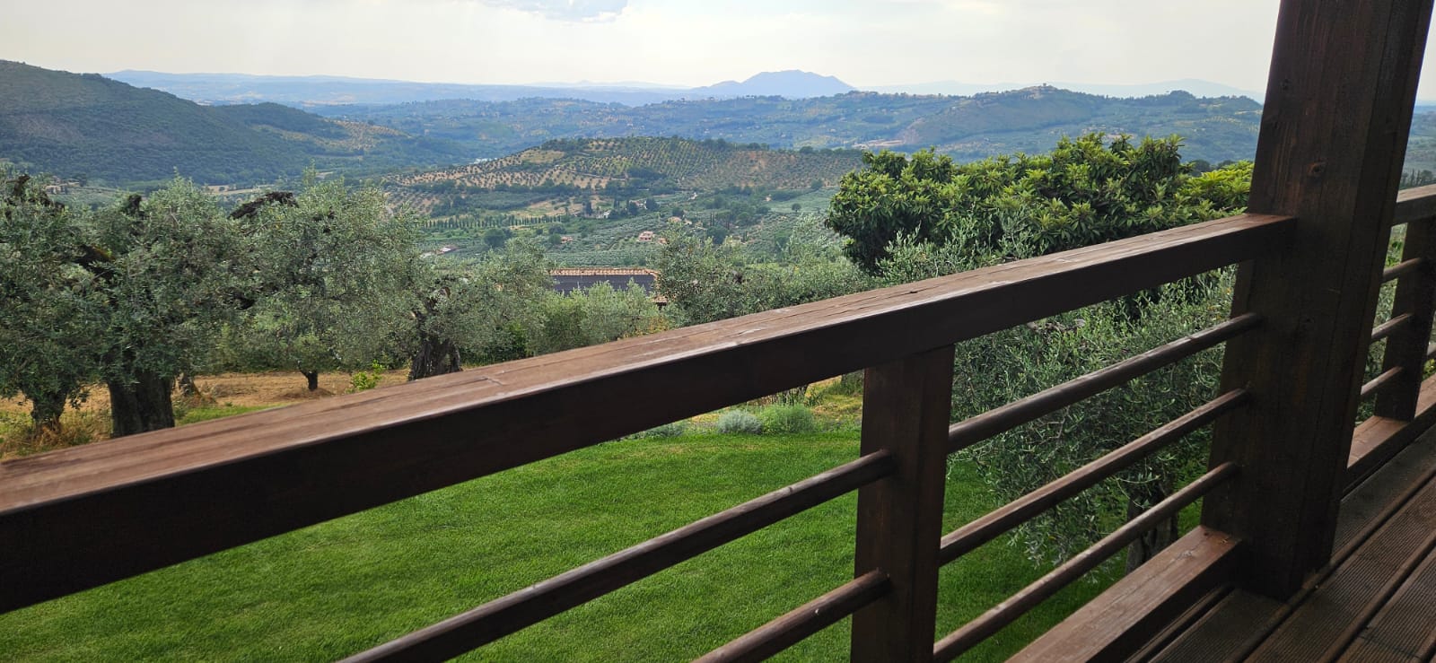 Giardino e uliveto